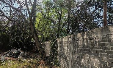 RENTA XOCHIMILCO TERREN O