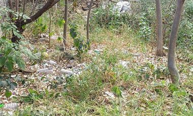 RENTA XOCHIMILCO TERREN O