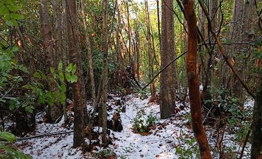 MARAVILLOSA CASA DE MONTAÑA CAMINO A TERMAS DE CHILLAN