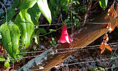 MARAVILLOSA CASA DE MONTAÑA CAMINO A TERMAS DE CHILLAN