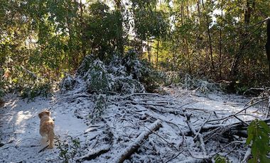 MARAVILLOSA CASA DE MONTAÑA CAMINO A TERMAS DE CHILLAN