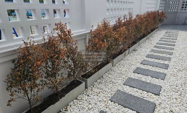 FOR SELL Townhouse/Townhome  Jitnarong 21  CX-147509