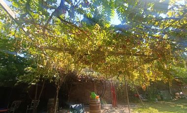 AMPLIA CASA EN LA FLORIDA 6D + 5B, PISCINA BODEGA