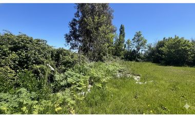 GRAN PARCELA EN LONGAVI