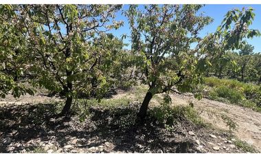 GRAN PARCELA EN LONGAVI