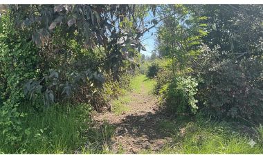 GRAN PARCELA EN LONGAVI