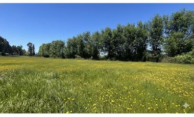 GRAN PARCELA EN LONGAVI