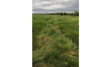 FINCA AGRO-GANADERA OPORTUNIDAD ÚNICA EN VILLANUEVA, CASANARE