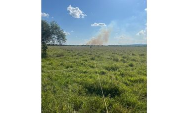 FINCA AGRO-GANADERA OPORTUNIDAD ÚNICA EN VILLANUEVA, CASANARE