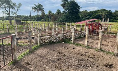 FINCA AGRO-GANADERA OPORTUNIDAD ÚNICA EN VILLANUEVA, CASANARE