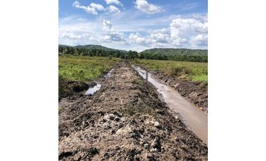 FINCA AGRO-GANADERA OPORTUNIDAD ÚNICA EN VILLANUEVA, CASANARE