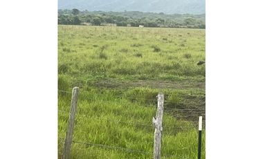 FINCA AGRO-GANADERA OPORTUNIDAD ÚNICA EN VILLANUEVA, CASANARE