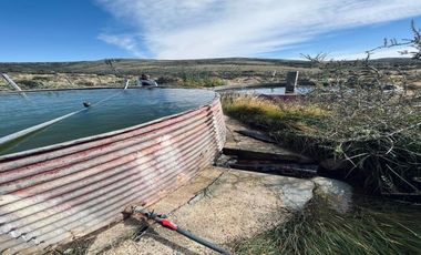 VENTA CAMPO SANTA CRUZ DPTO CORPEN AIKEN 32MIL HA OVINO