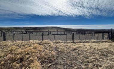 VENTA CAMPO SANTA CRUZ DPTO CORPEN AIKEN 32MIL HA OVINO