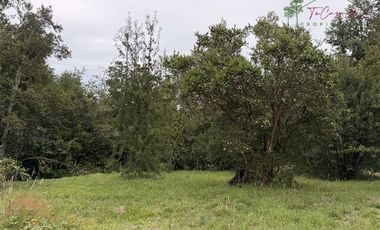 Parcela en Venta en Pucón - Segunda faja - Sector Correntoso - Altos de la Candelaria