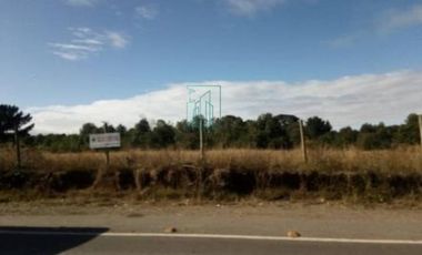 Sitio en Venta en SECTOR ARENAL. FRENTE A PASAJE LOVERA - VALDIVIA