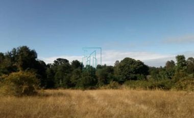 Sitio en Venta en SECTOR ARENAL. FRENTE A PASAJE LOVERA - VALDIVIA