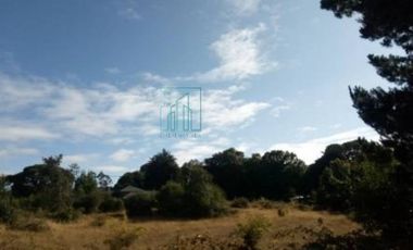 Sitio en Venta en SECTOR ARENAL. FRENTE A PASAJE LOVERA - VALDIVIA