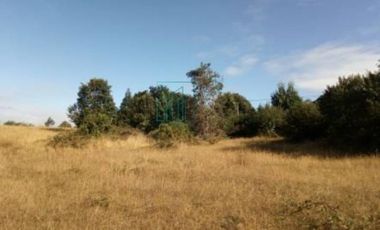 Sitio en Venta en SECTOR ARENAL. FRENTE A PASAJE LOVERA - VALDIVIA