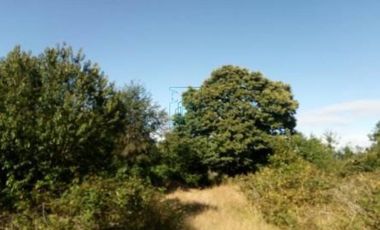 Sitio en Venta en SECTOR ARENAL. FRENTE A PASAJE LOVERA - VALDIVIA