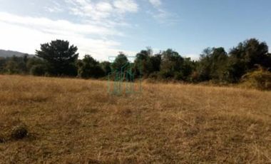 Sitio en Venta en SECTOR ARENAL. FRENTE A PASAJE LOVERA - VALDIVIA