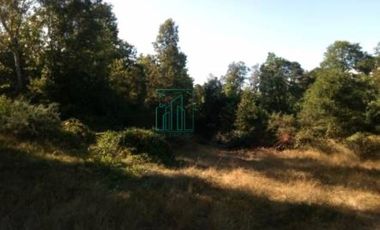 Sitio en Venta en SECTOR ARENAL. FRENTE A PASAJE LOVERA - VALDIVIA