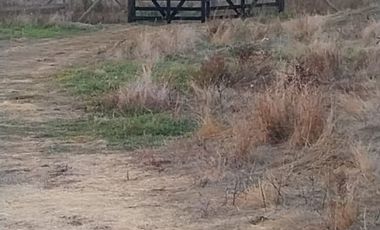 Parcela en Venta en TALQUITA MONTE EL MANZANO