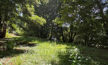 Parcela con casa y piscina en Patagual