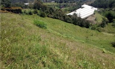 LOTE EN EL ORIENTE ANTIOQUEÑO, CONSTRUYE TU CASA IDEAL