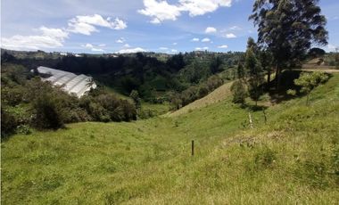 LOTE EN EL ORIENTE ANTIOQUEÑO, CONSTRUYE TU CASA IDEAL