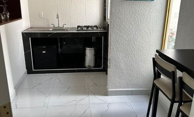 Departamento en Renta en Colonia Independencia