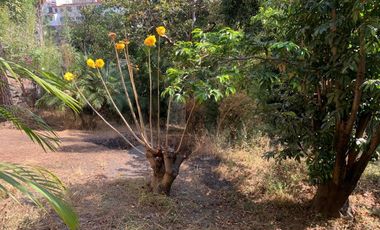 Casa sola en venta en Miraval, Cuernavaca, Morelos