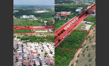 Terreno en Renta en Francisco de Montejo, Mérida Yucatán