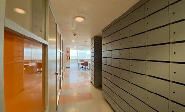 Edificio Comercial en Renta/Venta Insurgentes Sur