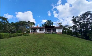 VENTA FINCA EN EL SECTOR DE LA GRAMINEA PEREIRA