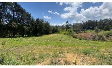 Lote para la venta en unidad abierta en San Antonio de Pereira