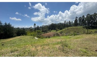 Lote para la venta en unidad abierta en San Antonio de Pereira