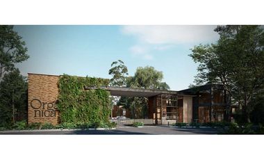 Venta Lote – La Ceja, Antioquia