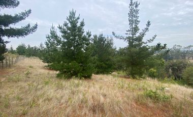 Parcela en venta en PAREDONES