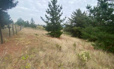 Parcela en venta en PAREDONES