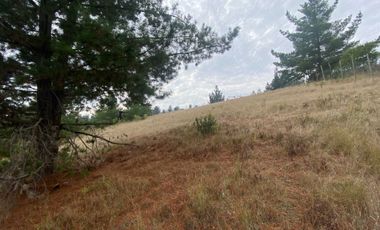 Parcela en venta en PAREDONES