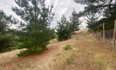 Parcela en venta en PAREDONES