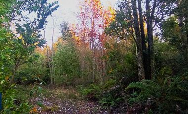 Parcela en venta en PUERTO MONTT