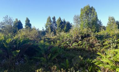 Parcela en venta en PUERTO MONTT