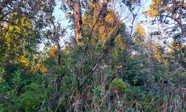 Parcela en venta en PUERTO MONTT