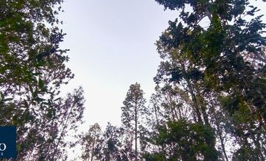 Parcela en venta en PUERTO MONTT