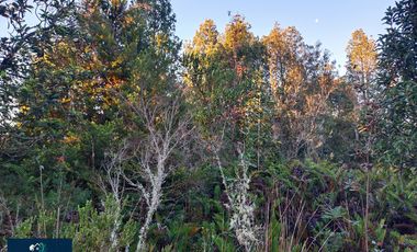 Parcela en venta en PUERTO MONTT