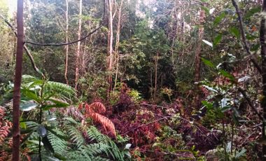 Parcela en venta en PUERTO MONTT