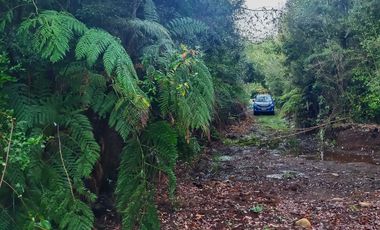 Parcela en venta en PUERTO MONTT