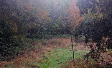 Parcela en venta en PUERTO MONTT